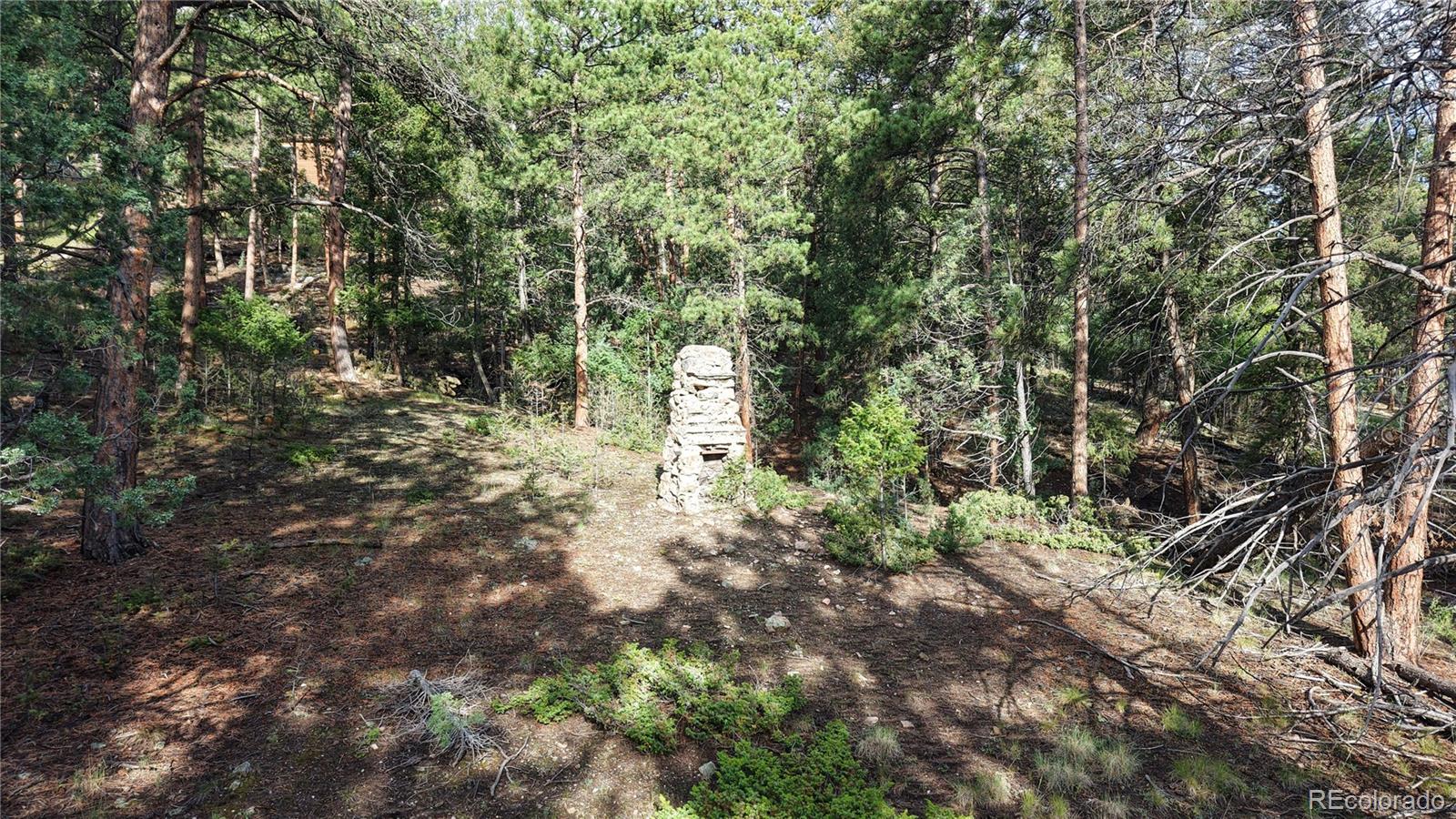 33476 La Plata Lane Pine CO 80470