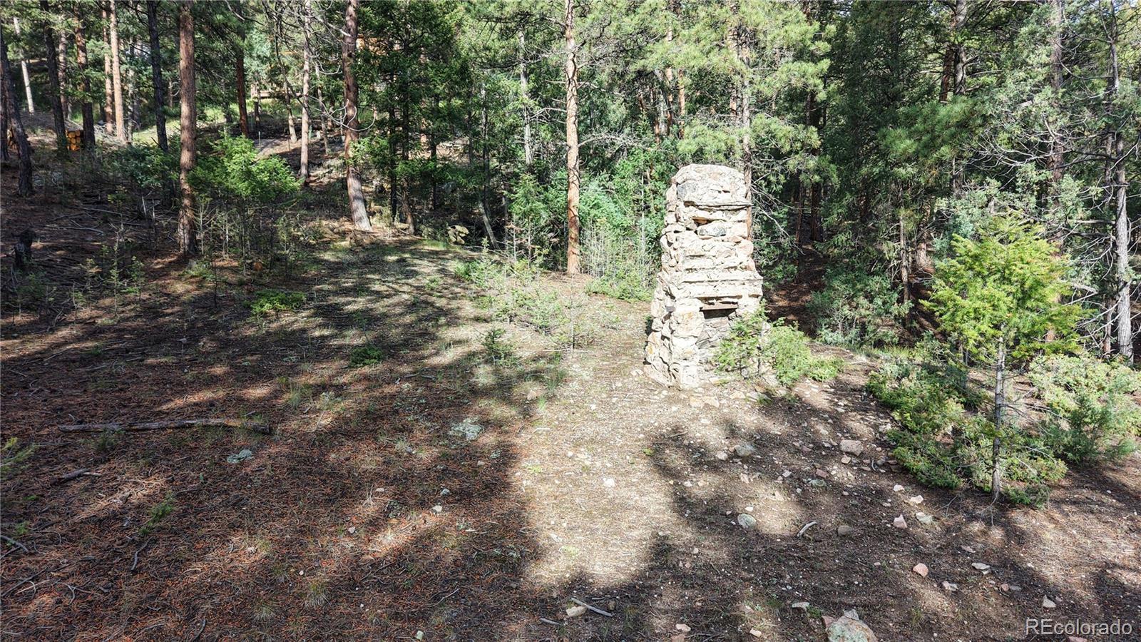 33476 La Plata Lane Pine CO 80470