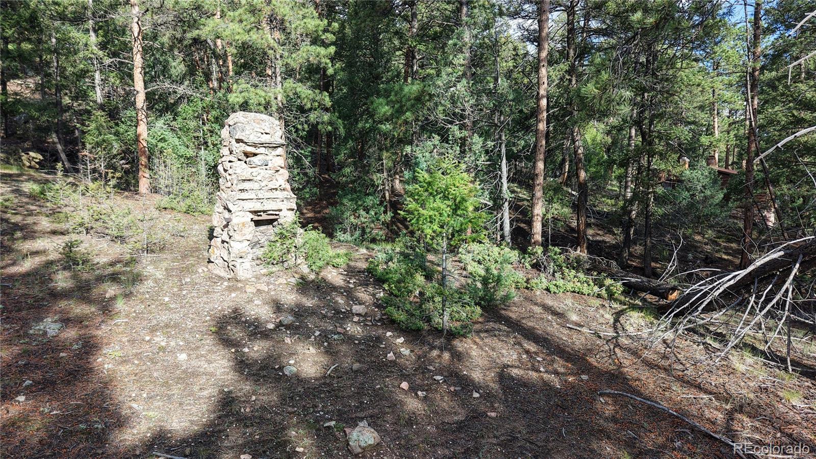 33476 La Plata Lane Pine CO 80470
