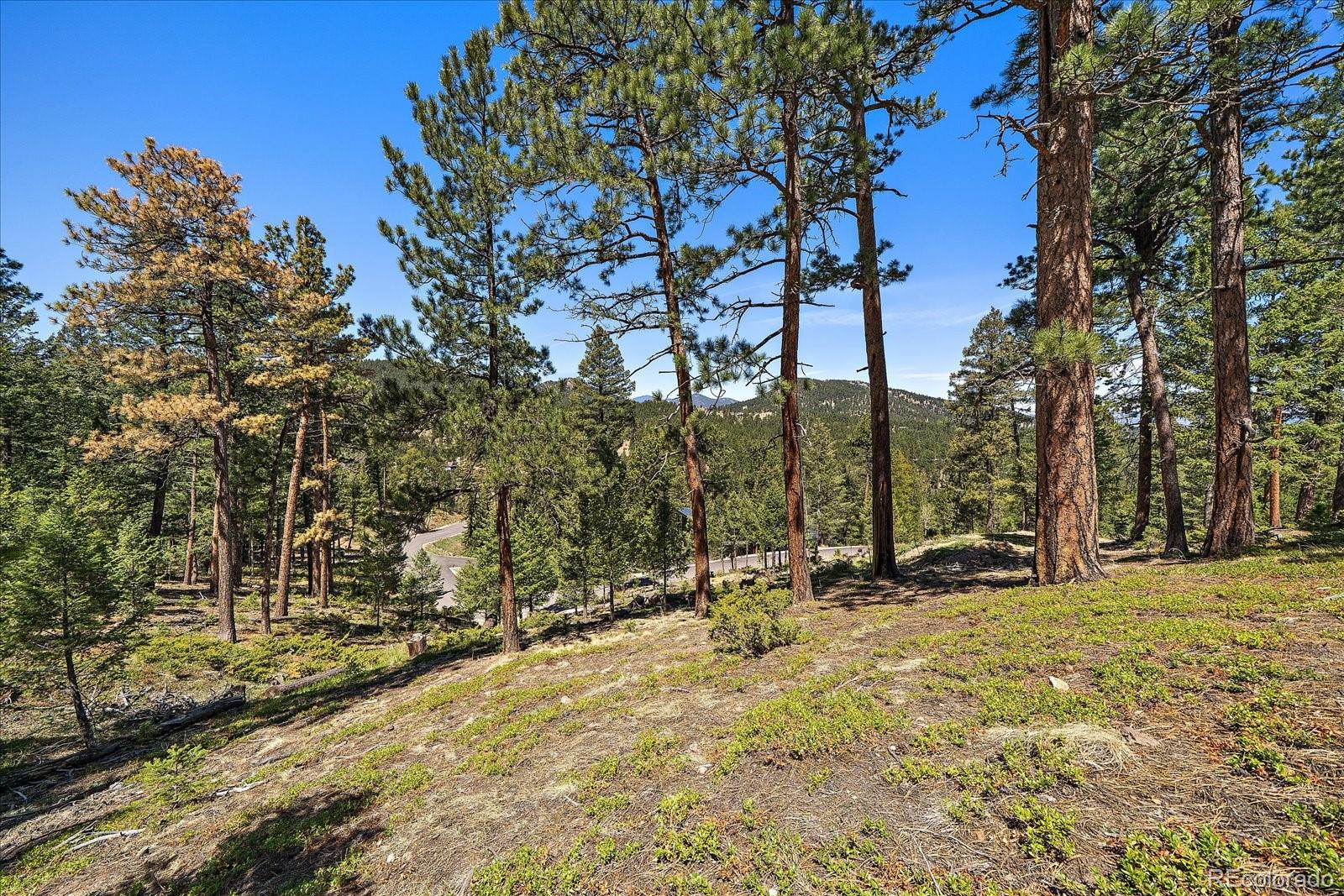 6875 Lynx Lair Road Evergreen CO 80439