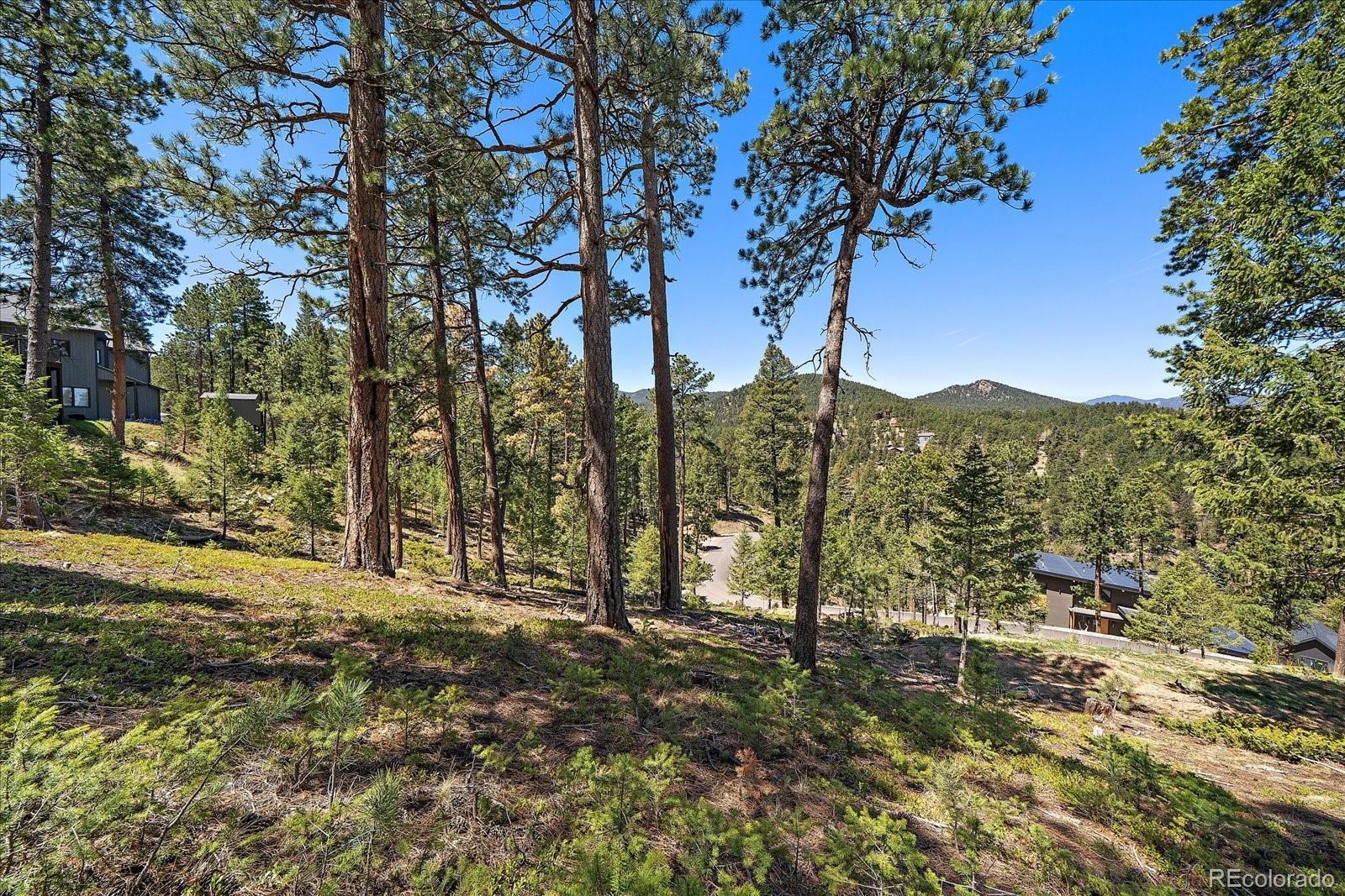 6875 Lynx Lair Road Evergreen CO 80439