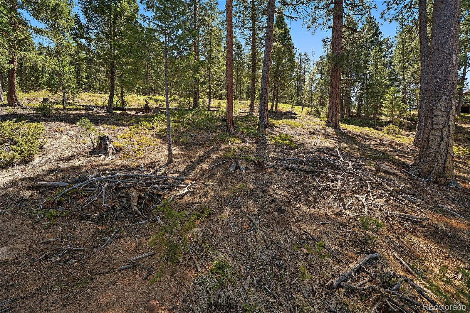 6875 Lynx Lair Road Evergreen CO 80439