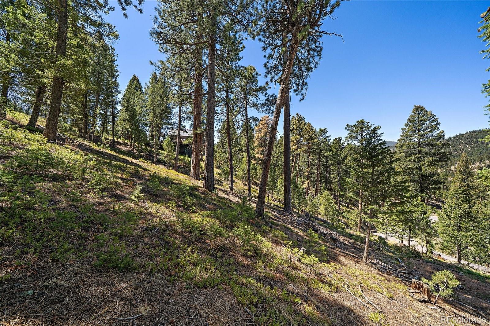 6875 Lynx Lair Road Evergreen CO 80439