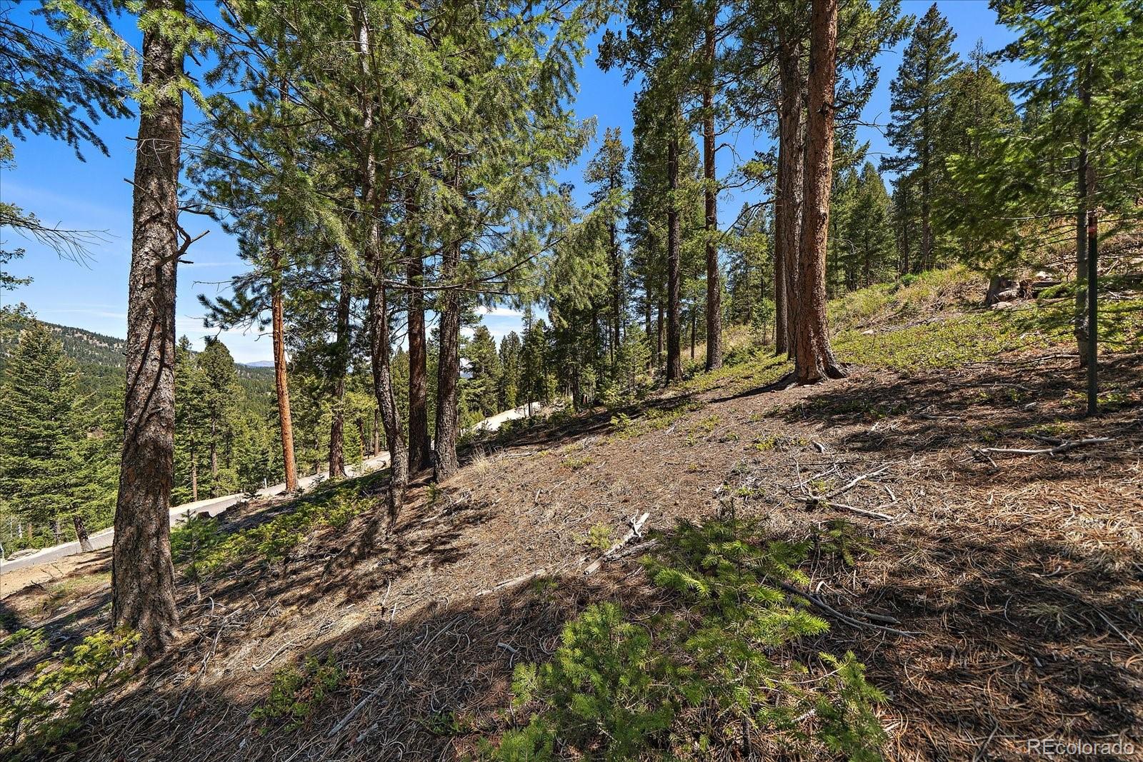 6875 Lynx Lair Road Evergreen CO 80439