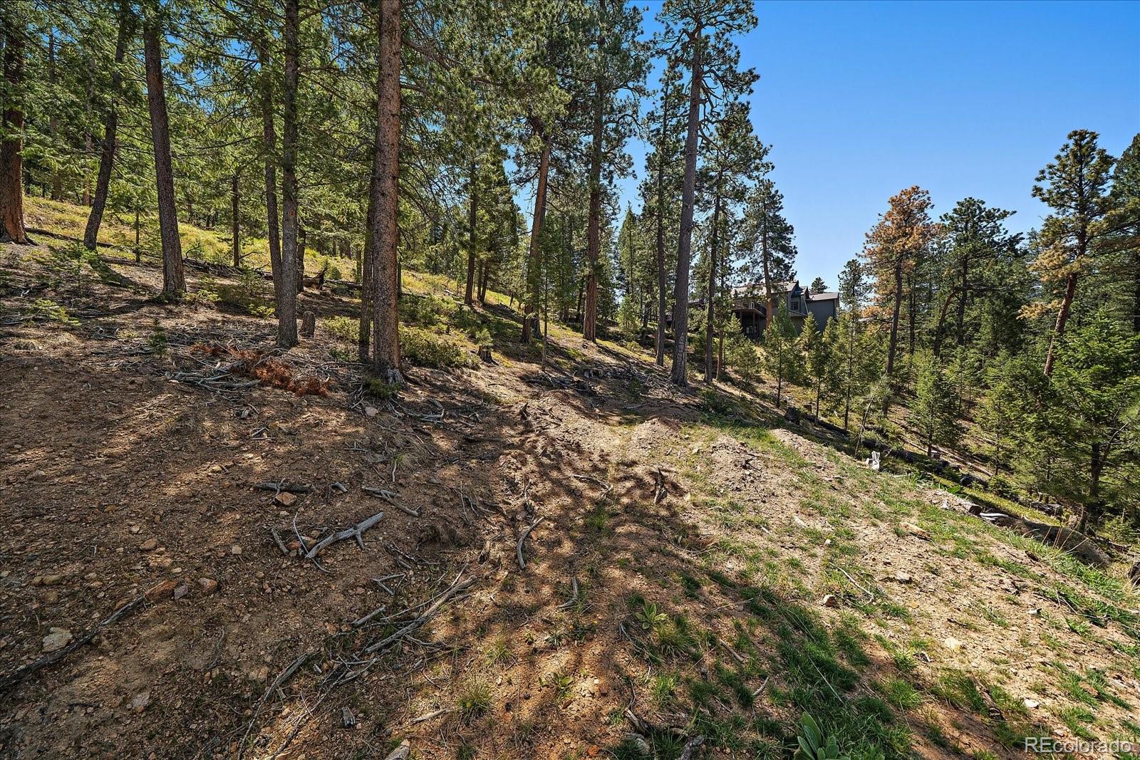6875 Lynx Lair Road Evergreen CO 80439