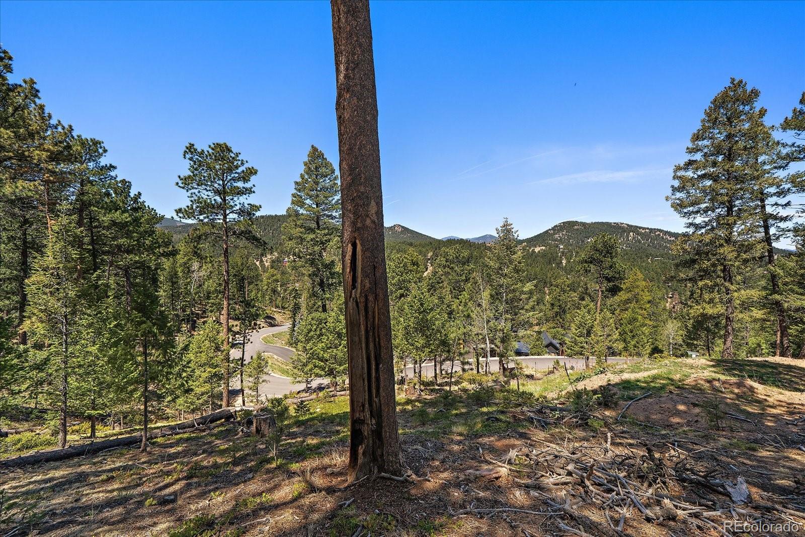 6875 Lynx Lair Road Evergreen CO 80439