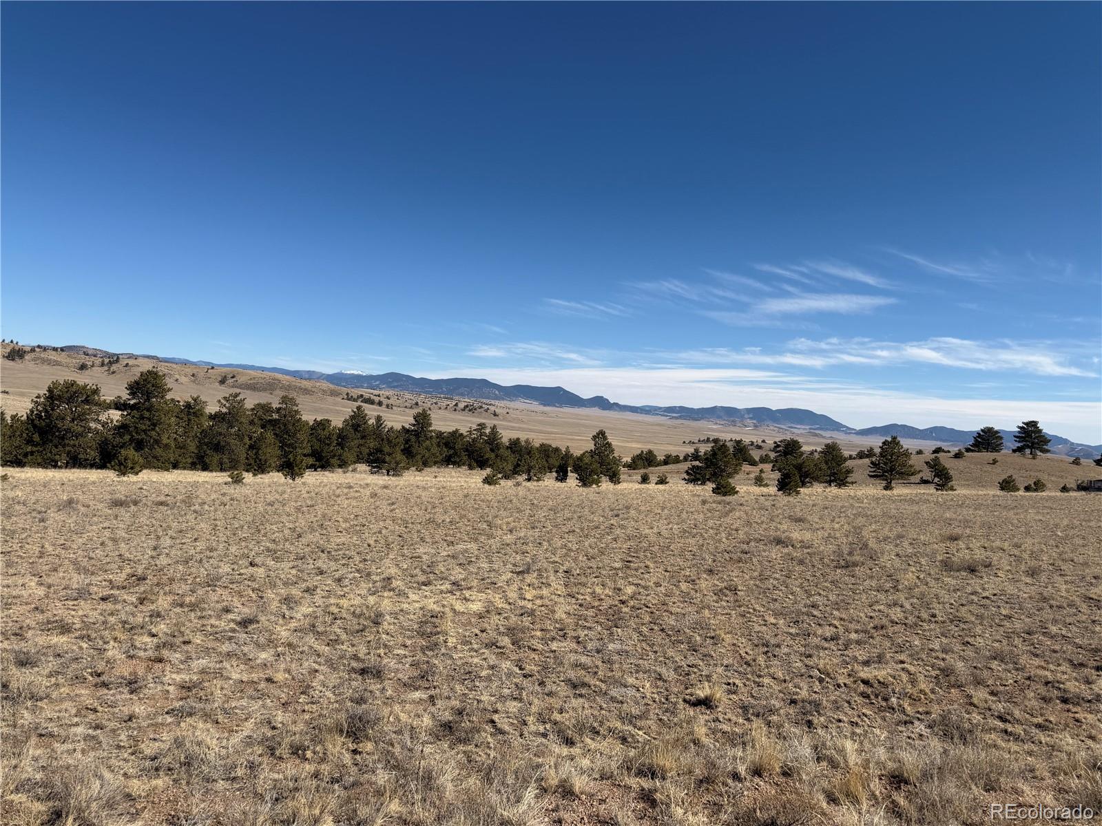 367 Arikara Trail Hartsel CO 80449