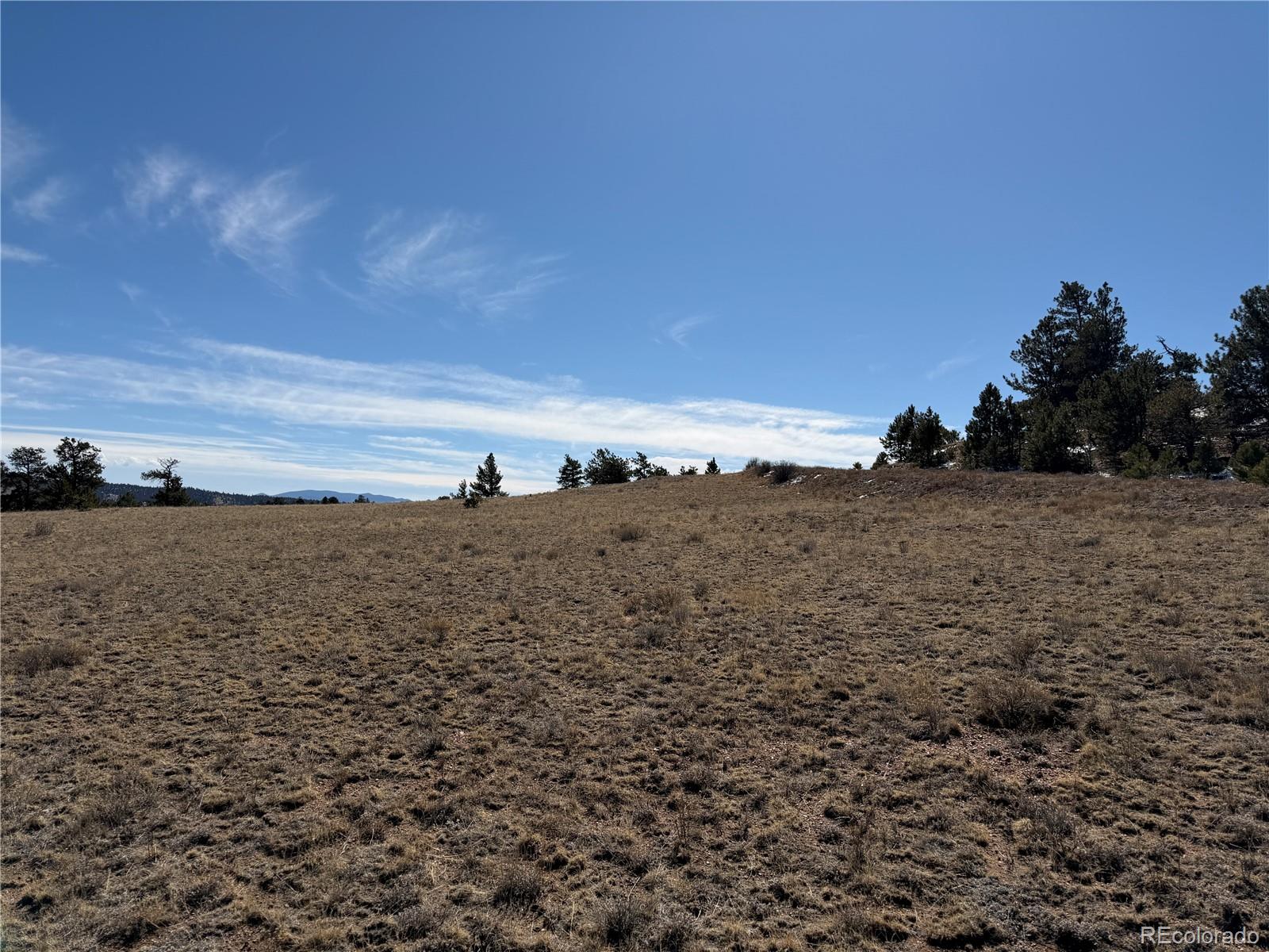 367 Arikara Trail Hartsel CO 80449