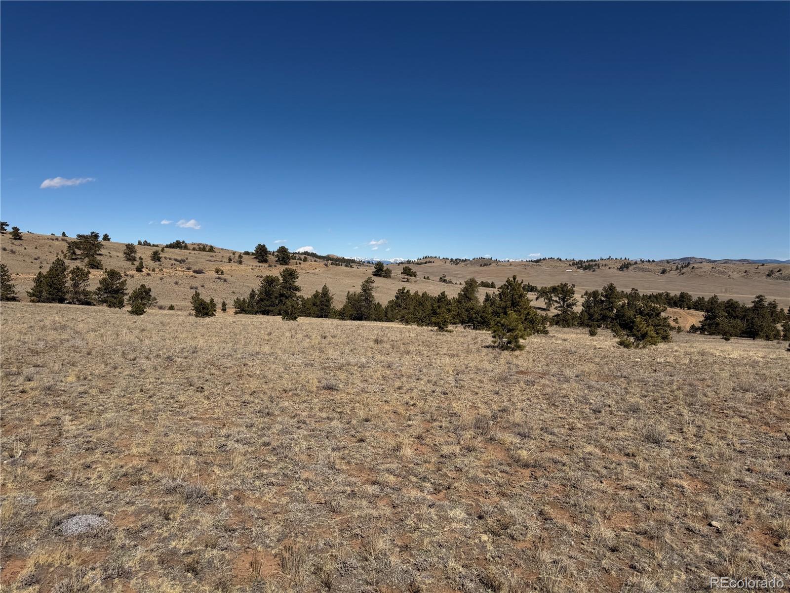 367 Arikara Trail Hartsel CO 80449