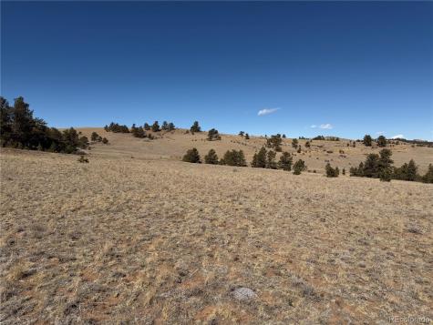 367 Arikara Trail Hartsel CO 80449