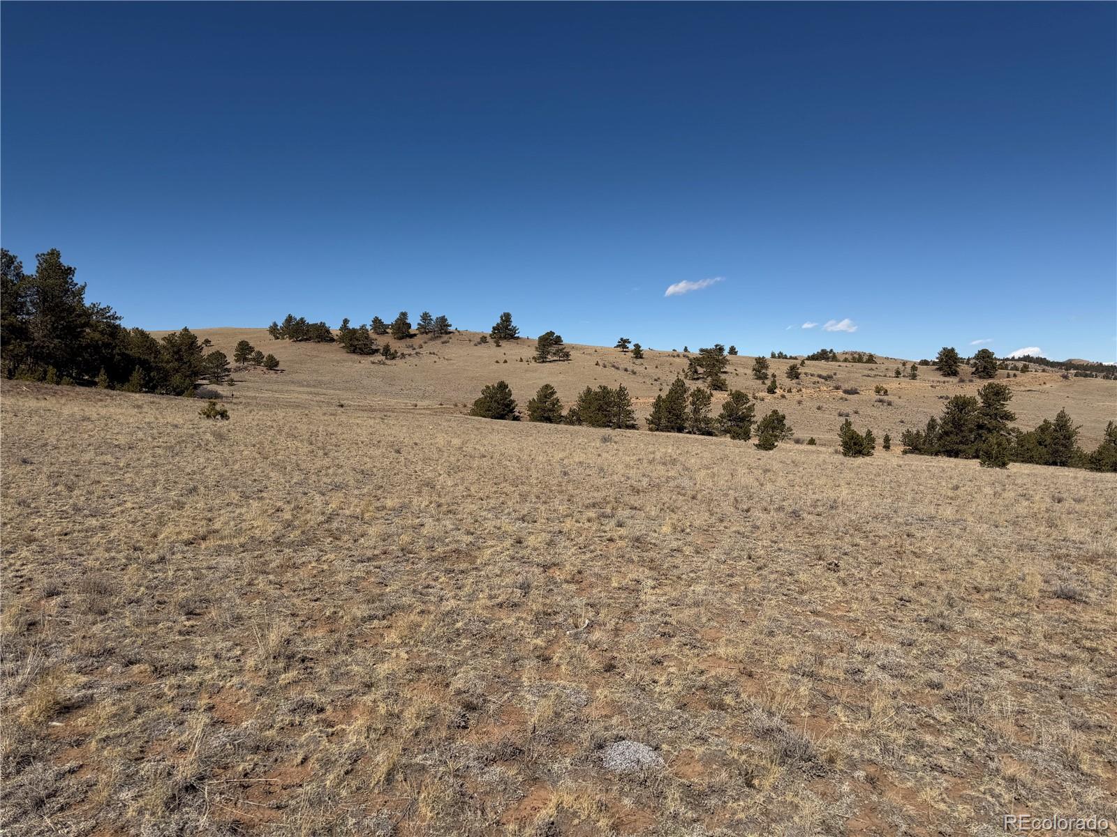 367 Arikara Trail Hartsel CO 80449