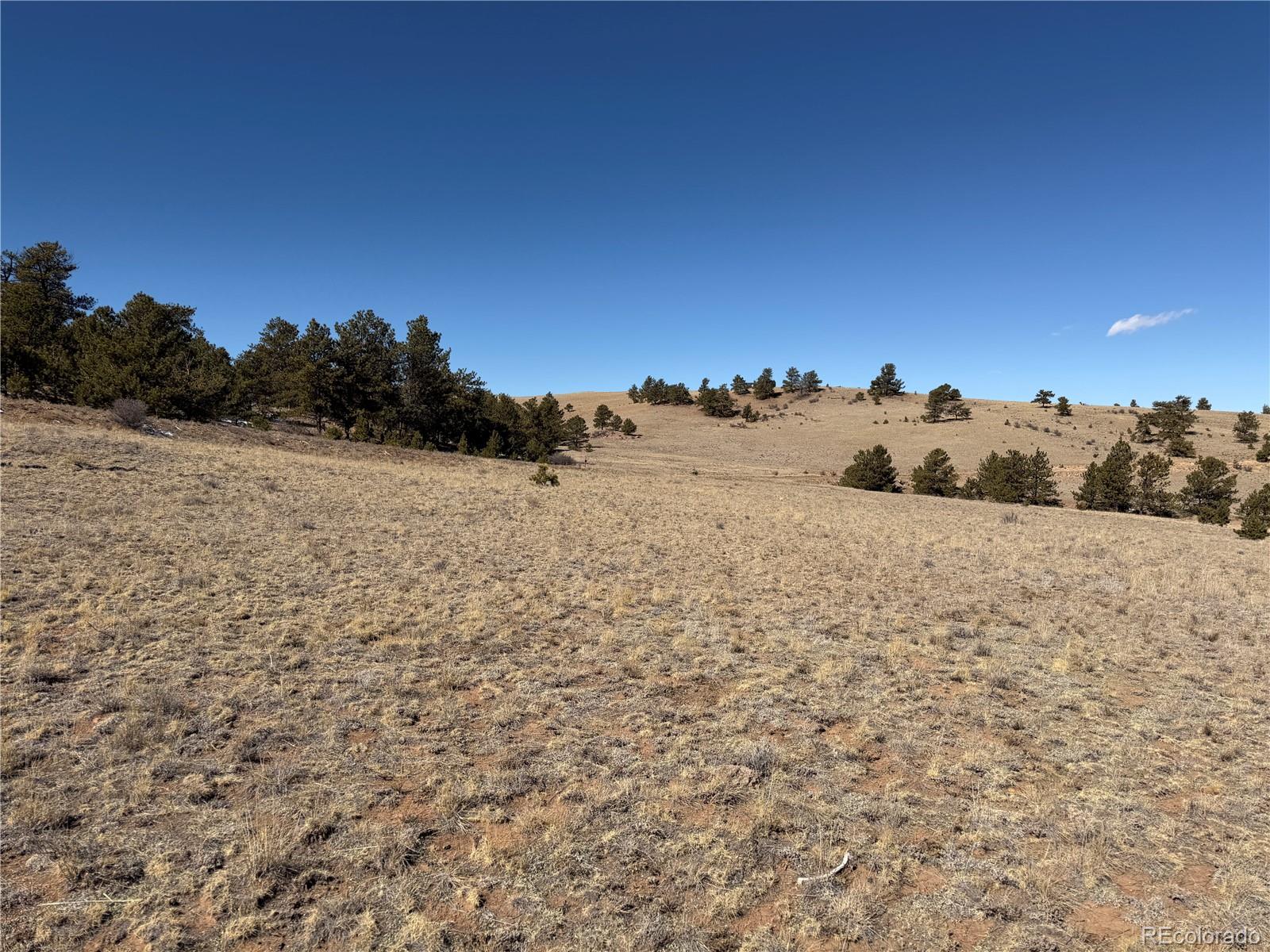 367 Arikara Trail Hartsel CO 80449