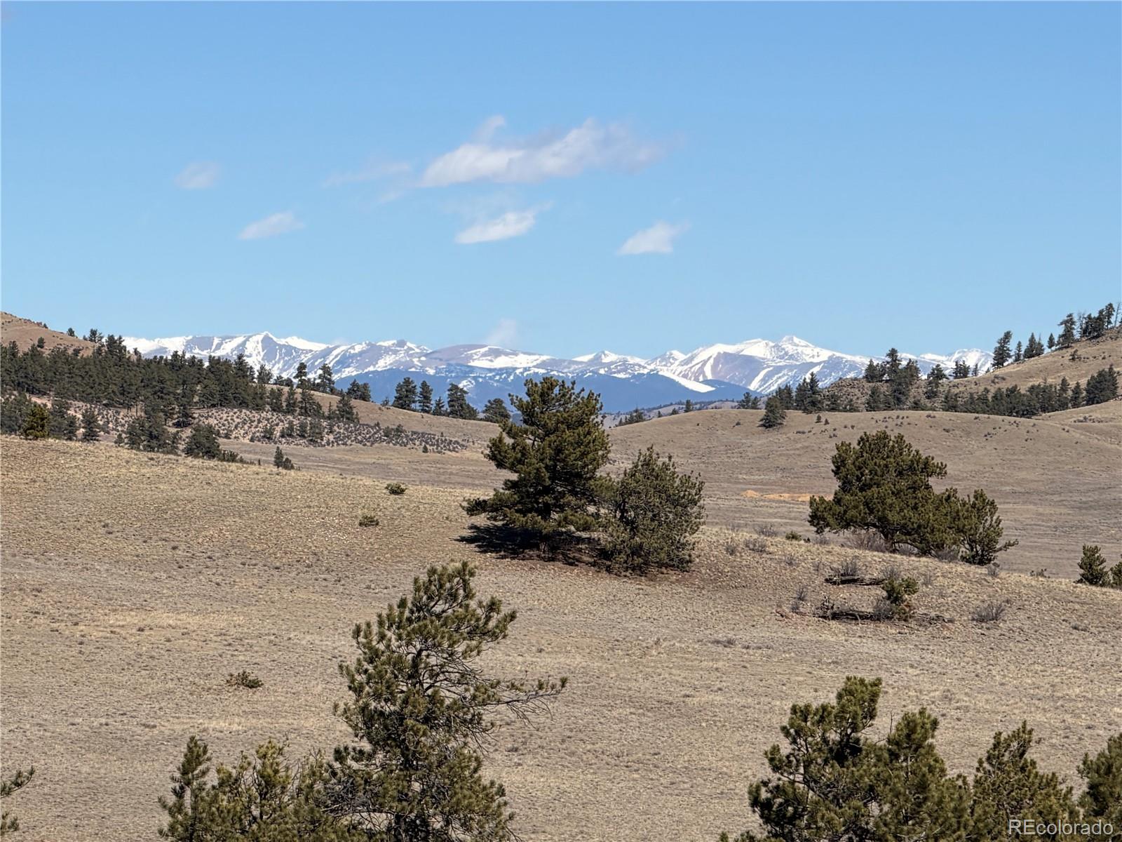 367 Arikara Trail Hartsel CO 80449