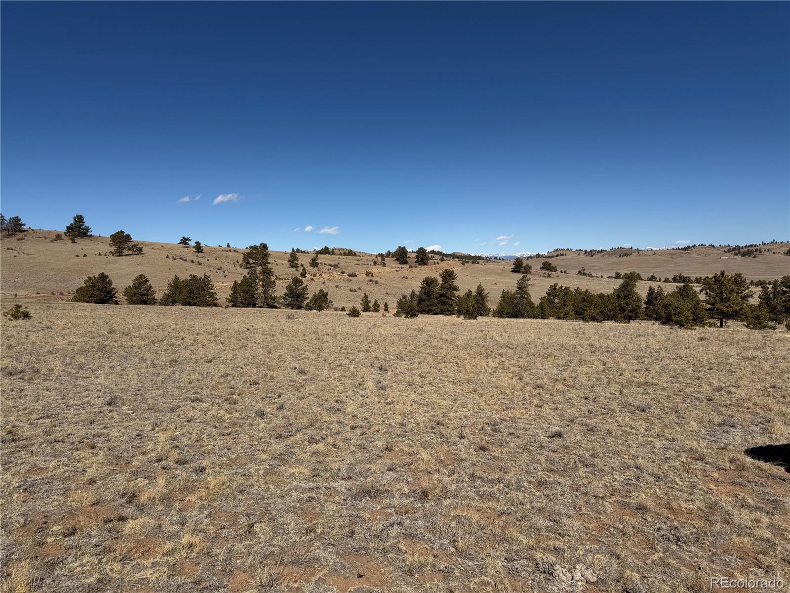 367 Arikara Trail Hartsel CO 80449