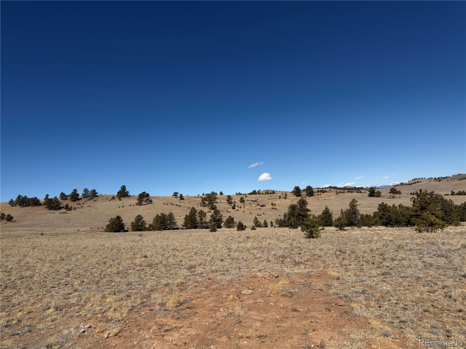 367 Arikara Trail Hartsel CO 80449