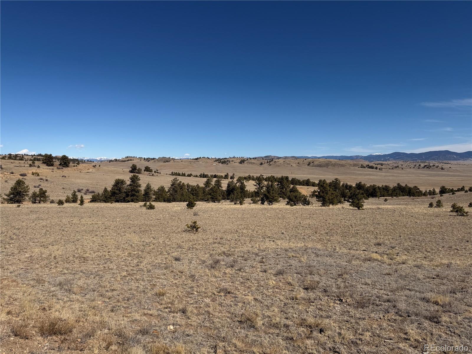 367 Arikara Trail Hartsel CO 80449