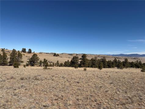 367 Arikara Trail Hartsel CO 80449