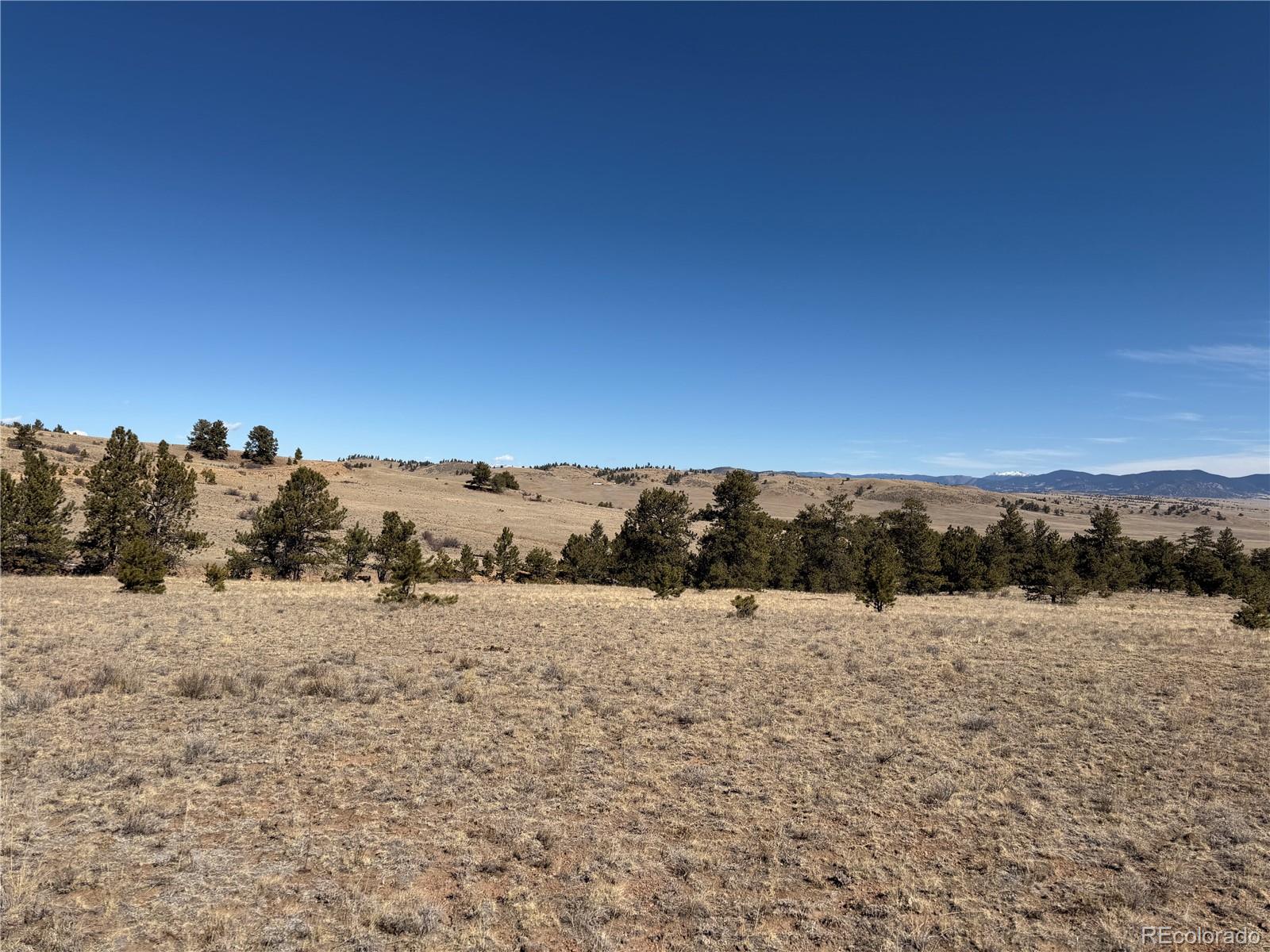 367 Arikara Trail Hartsel CO 80449