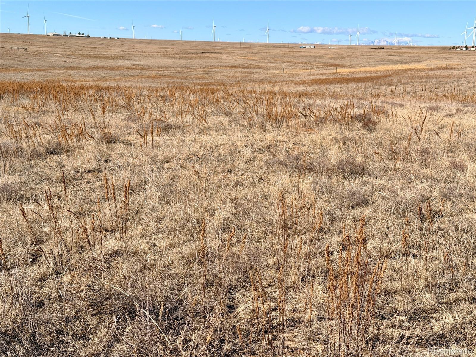 1 Mulberry Road Calhan CO 80808