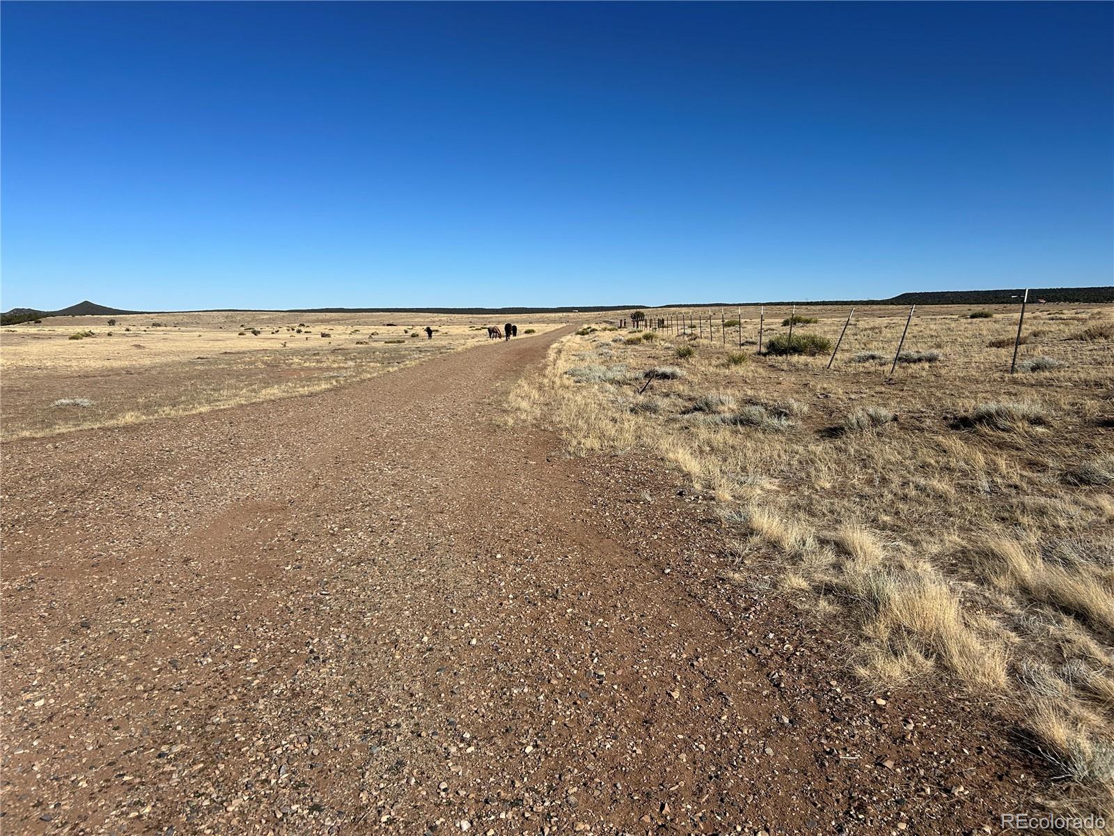 Lot 75a River Ridge Ranch La Veta CO 81055