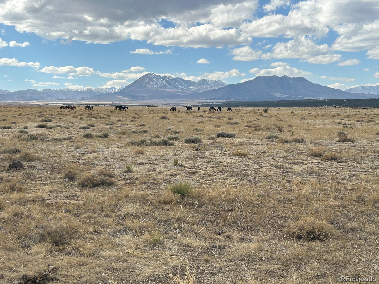 Lot 75a River Ridge Ranch La Veta CO 81055