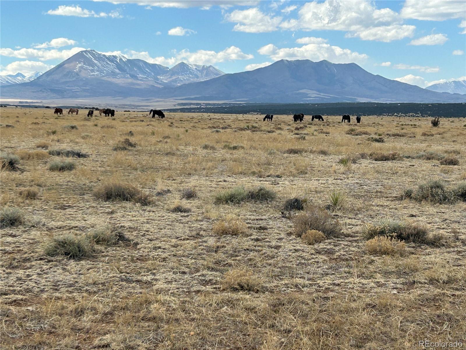 Lot 75a River Ridge Ranch La Veta CO 81055