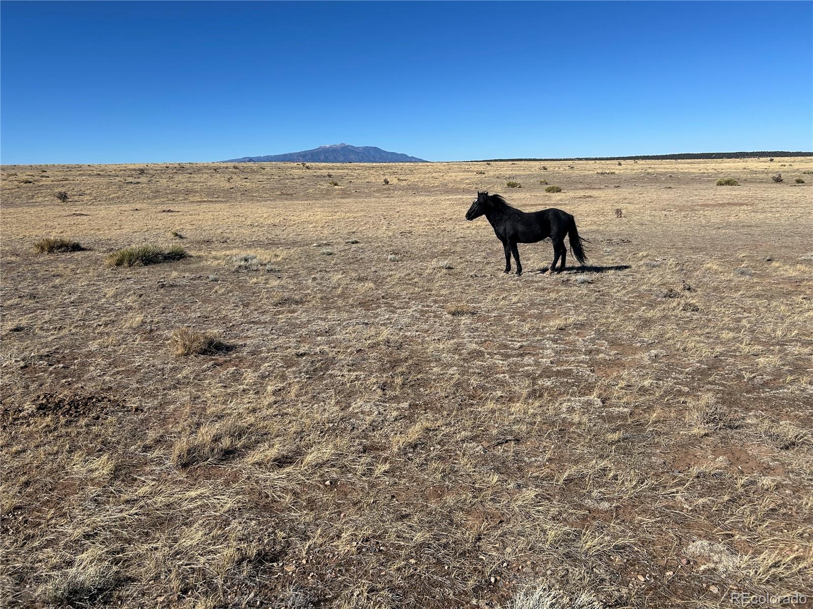 Lot 75a River Ridge Ranch La Veta CO 81055