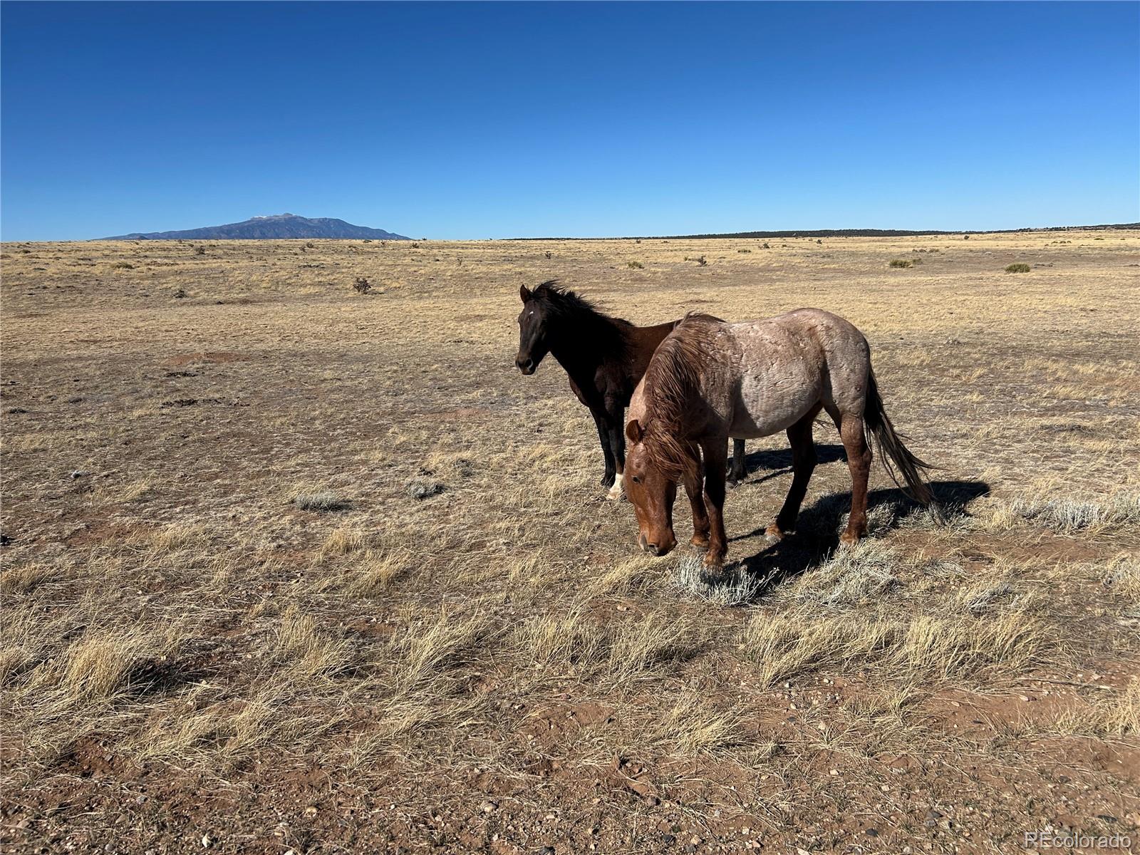 Lot 75a River Ridge Ranch La Veta CO 81055
