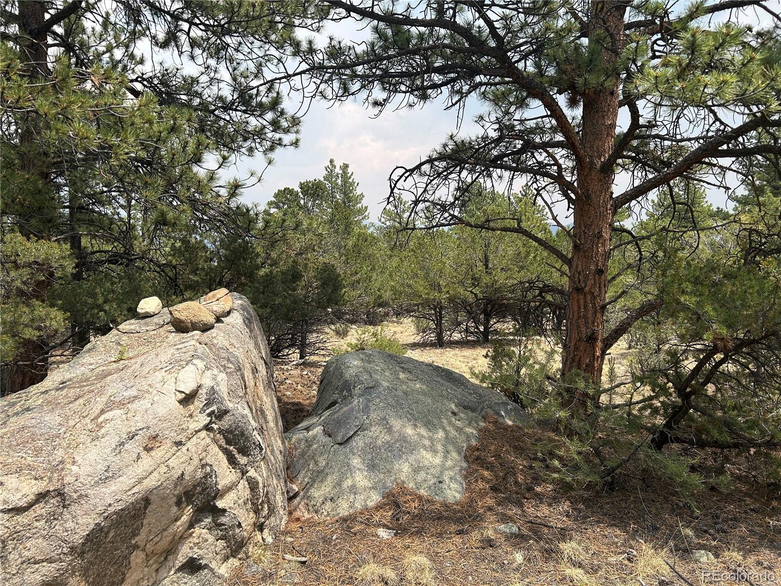 30160 Princeton Circle Buena Vista CO 81211