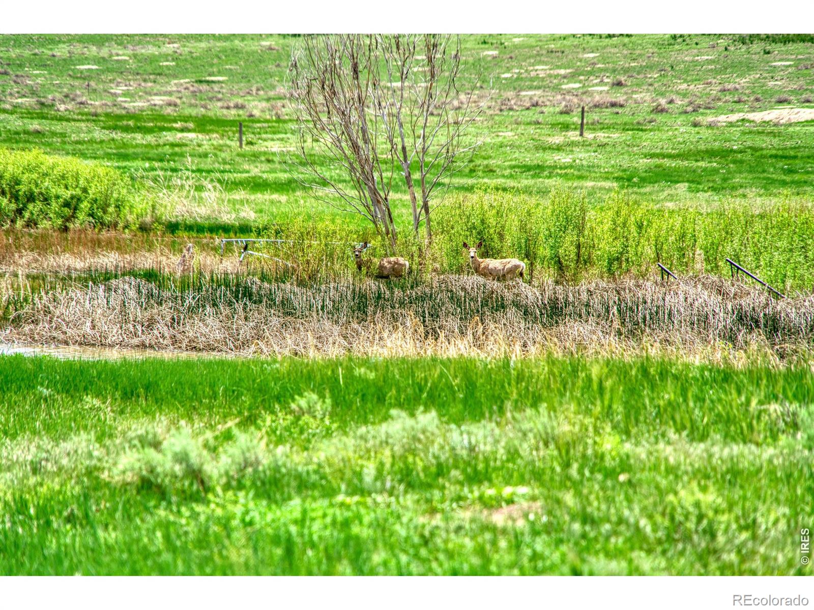 0 County Road 78 Eaton CO 80615