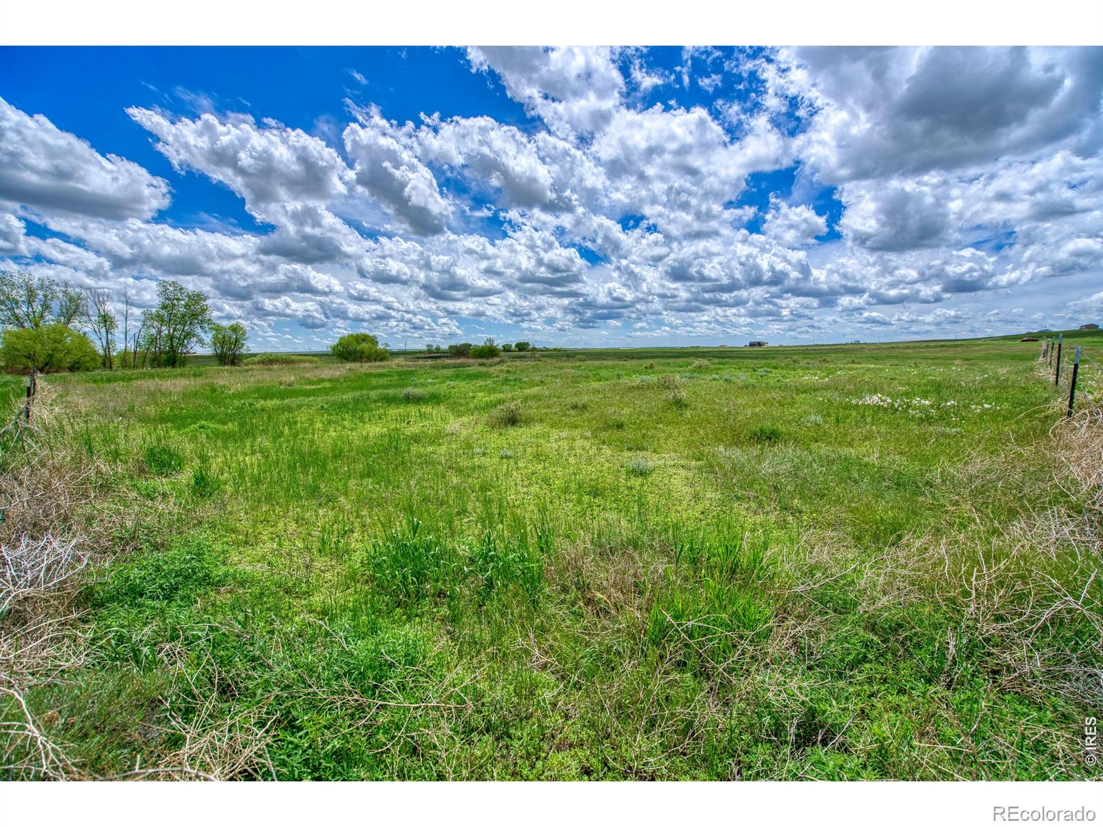 0 County Road 78 Eaton CO 80615