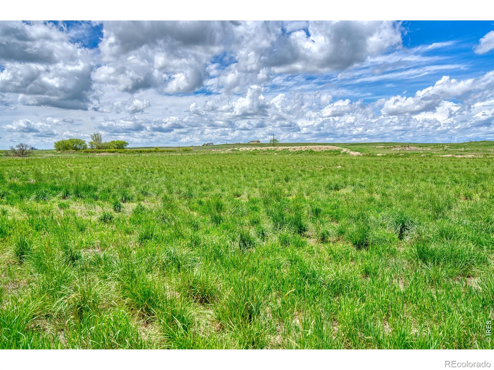 0 County Road 78 Eaton CO 80615