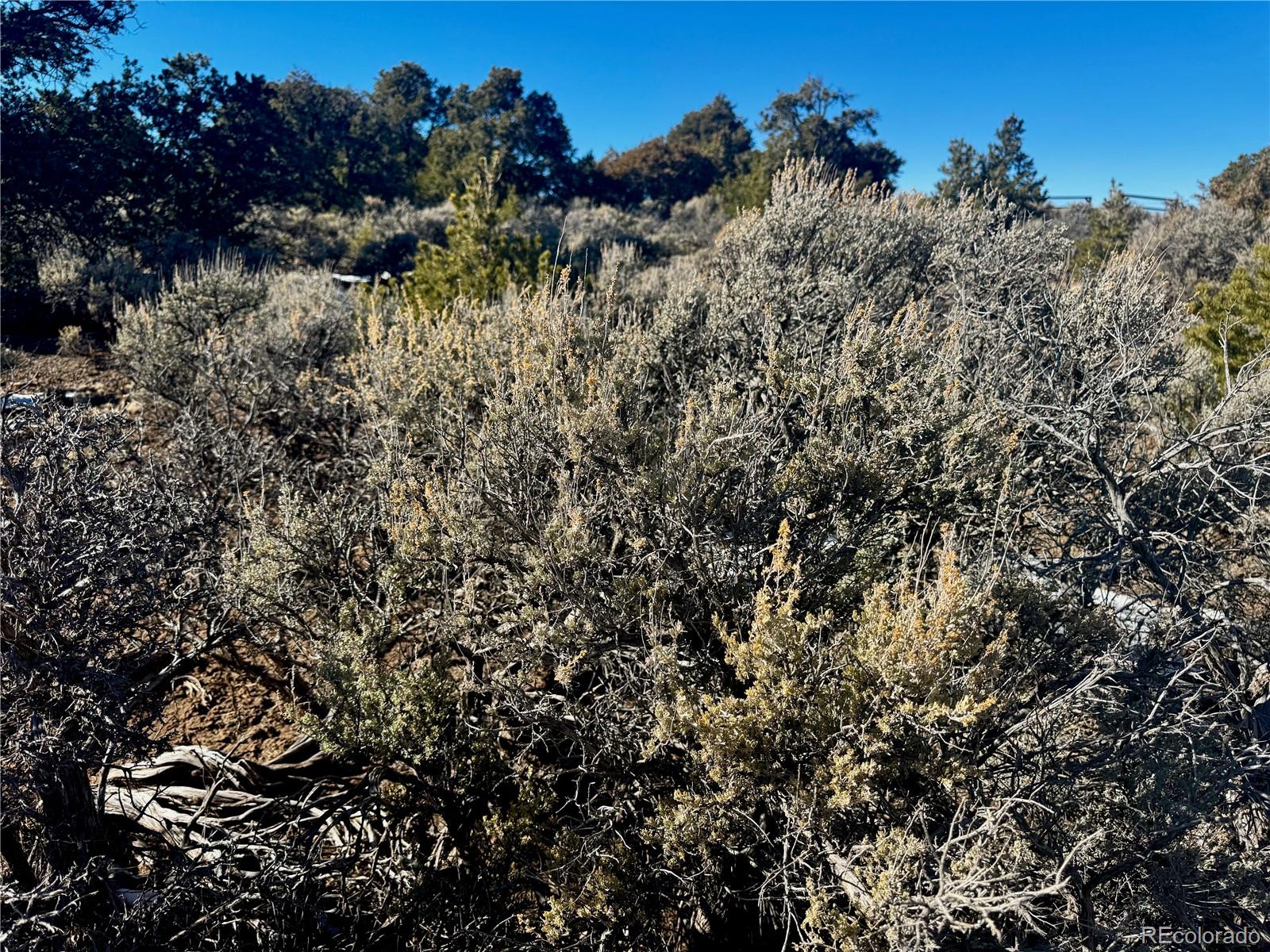 Lot 17 Largo Vista San Luis CO 81152