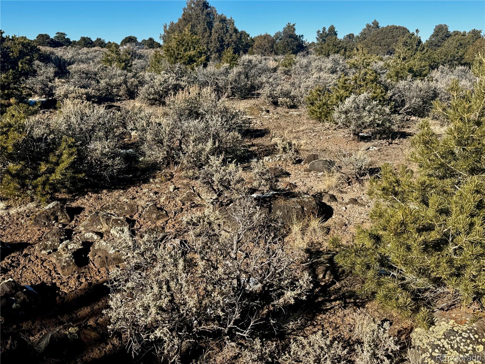 Lot 17 Largo Vista San Luis CO 81152