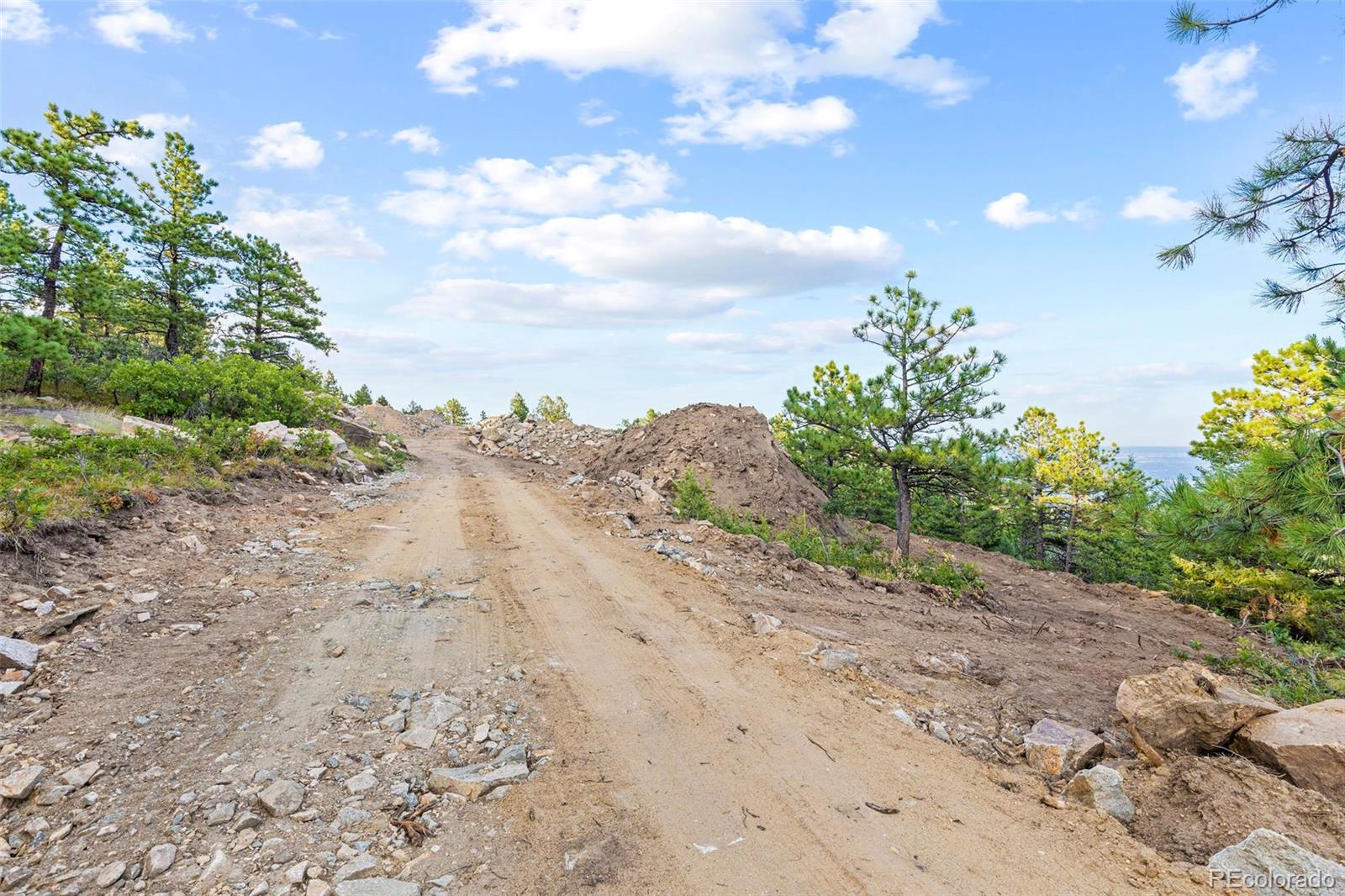 11917 Flat Top Trail Littleton CO 80127