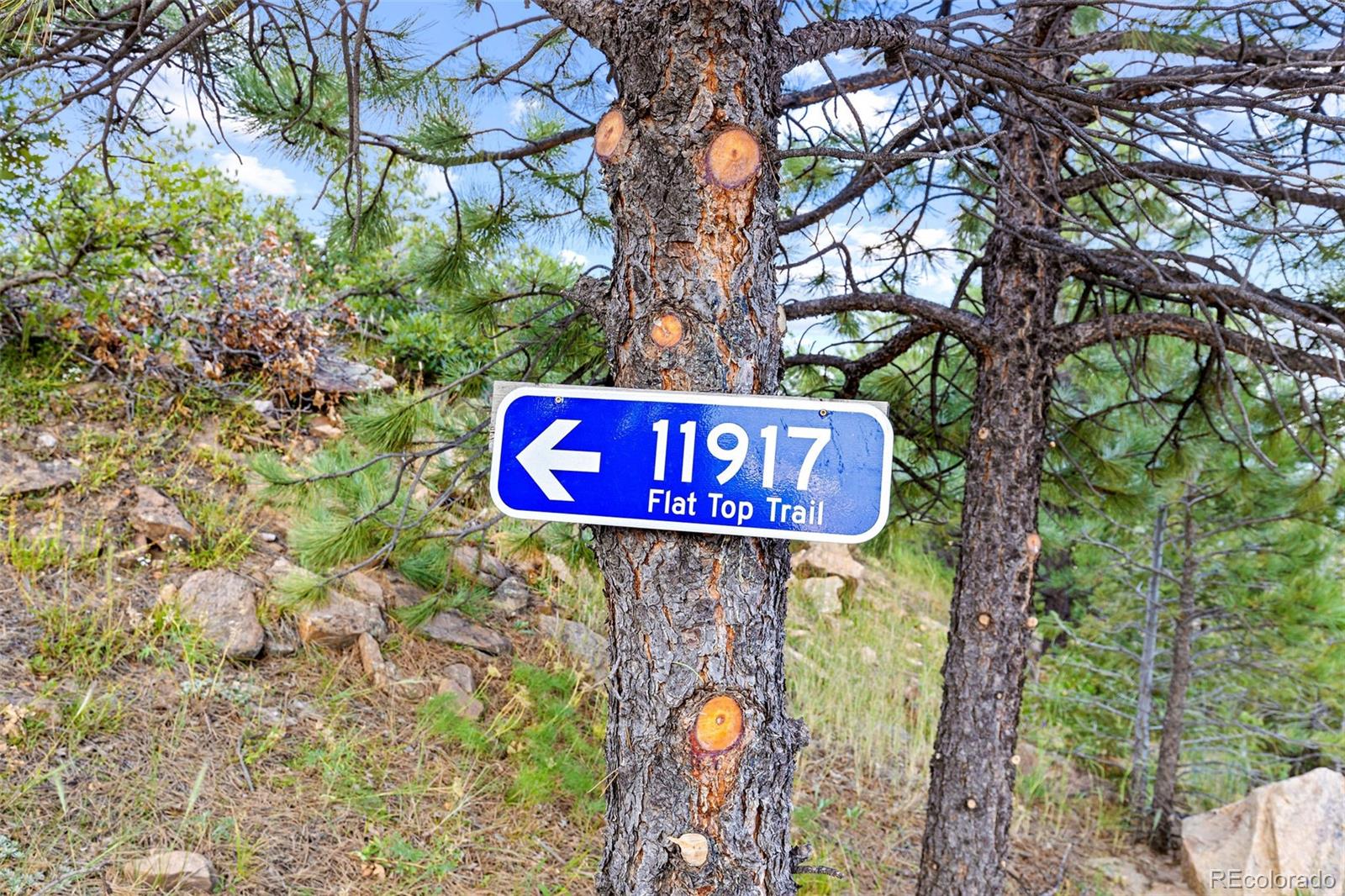 11917 Flat Top Trail Littleton CO 80127