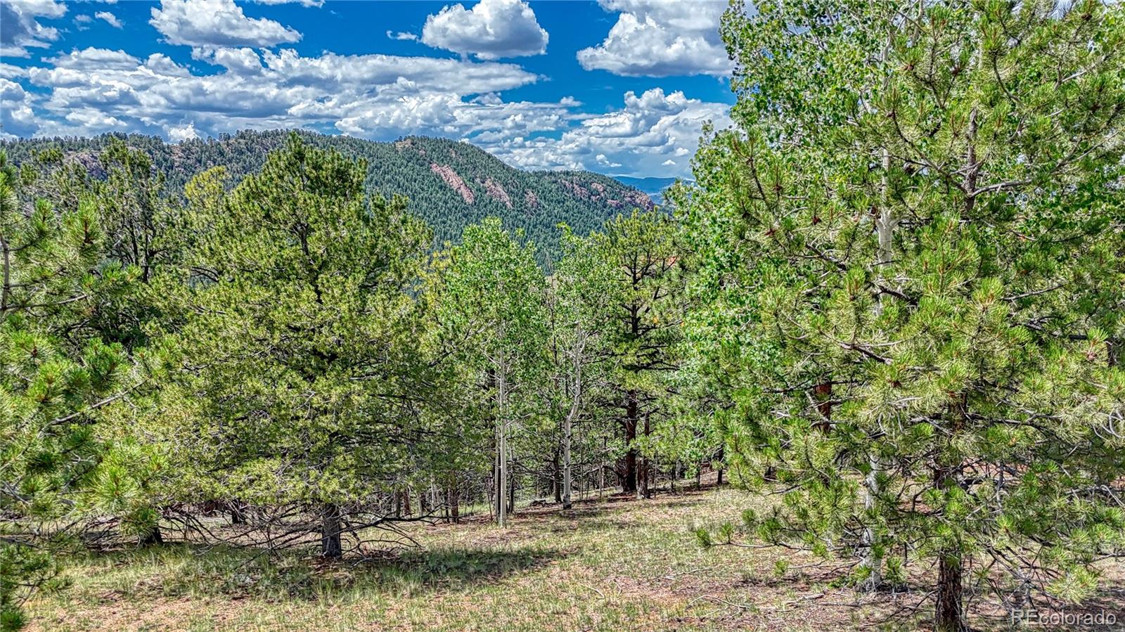 24 Wild Horse Circle Cripple Creek CO 80813