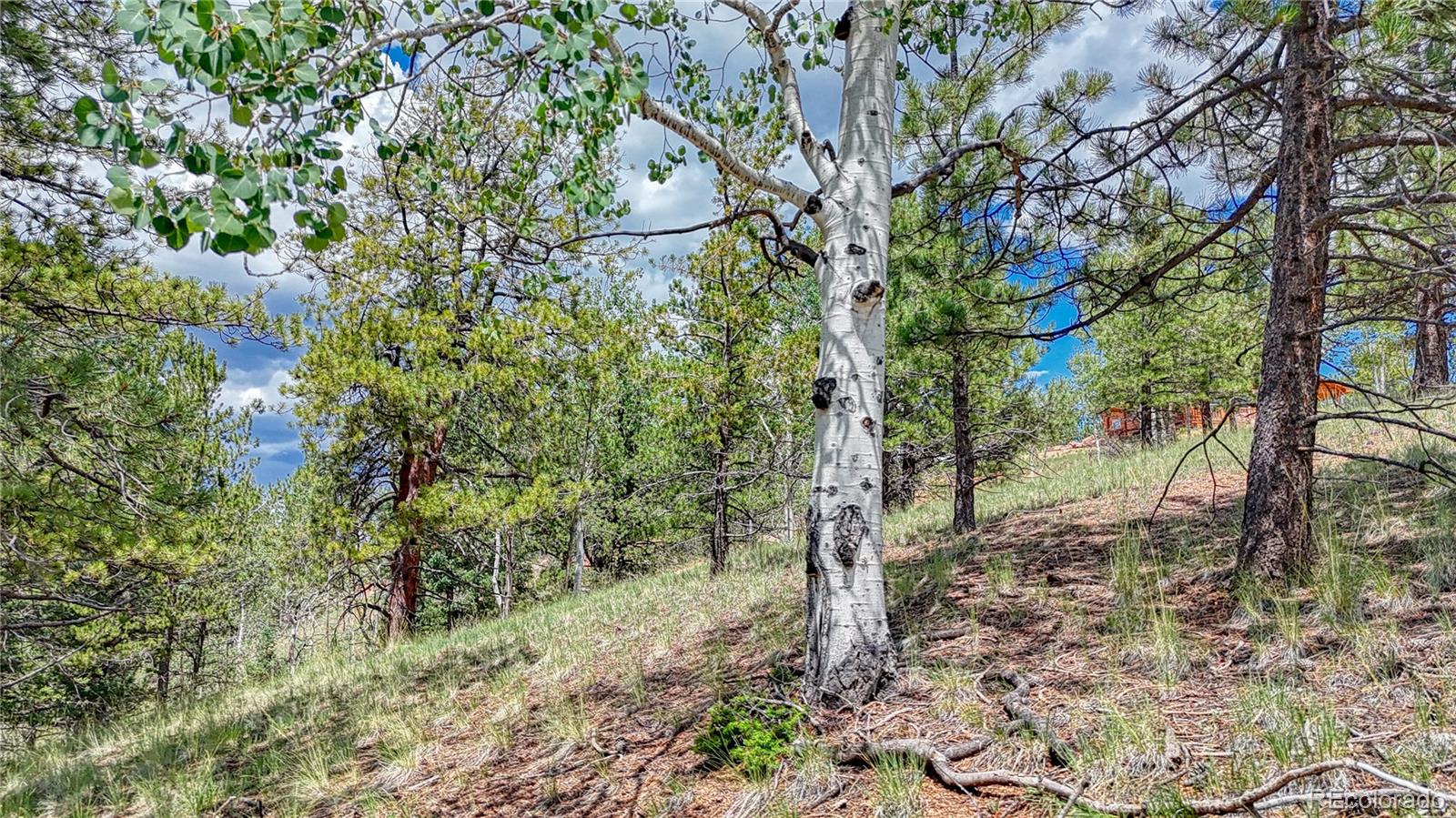 24 Wild Horse Circle Cripple Creek CO 80813