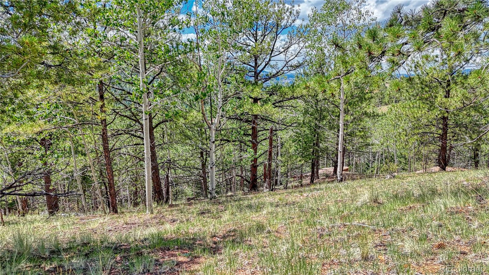 24 Wild Horse Circle Cripple Creek CO 80813