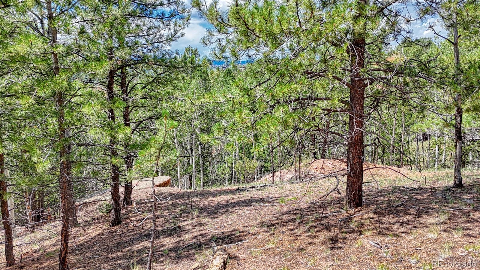 24 Wild Horse Circle Cripple Creek CO 80813