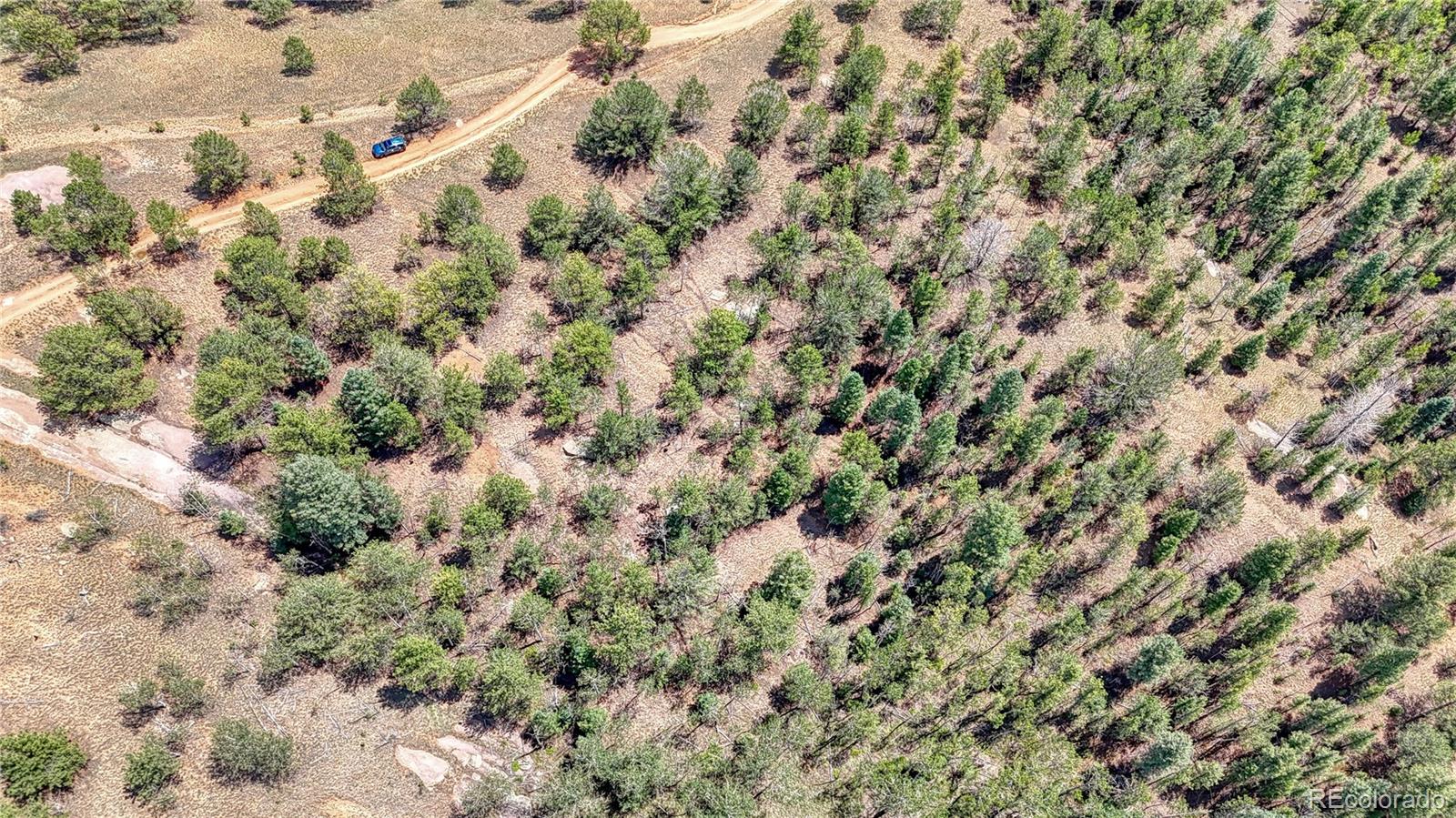 24 Wild Horse Circle Cripple Creek CO 80813