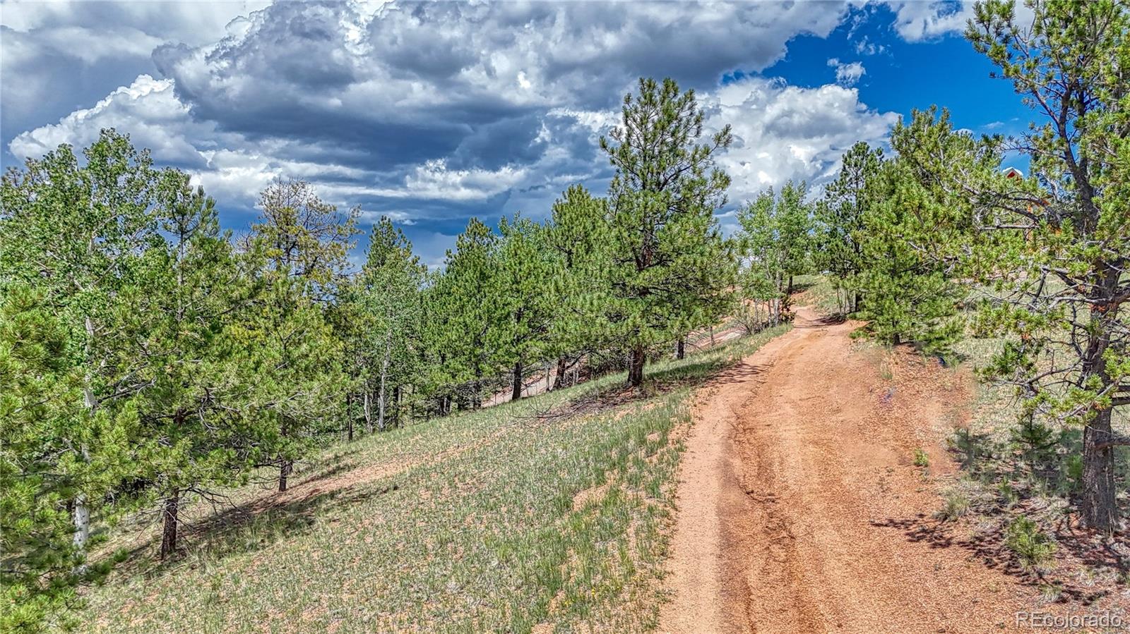 24 Wild Horse Circle Cripple Creek CO 80813