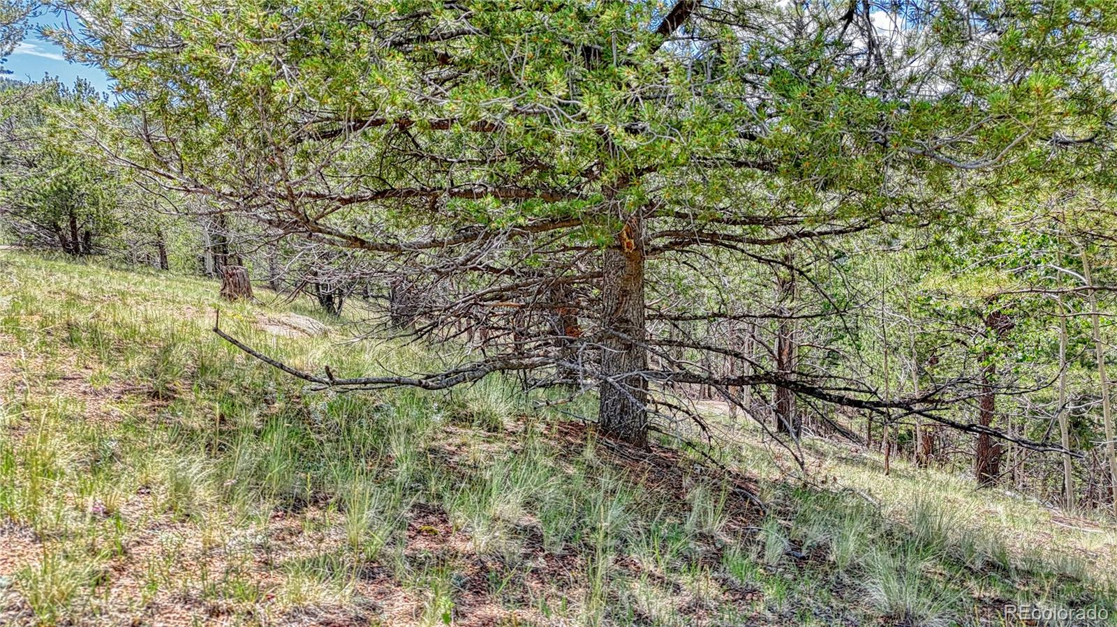 24 Wild Horse Circle Cripple Creek CO 80813
