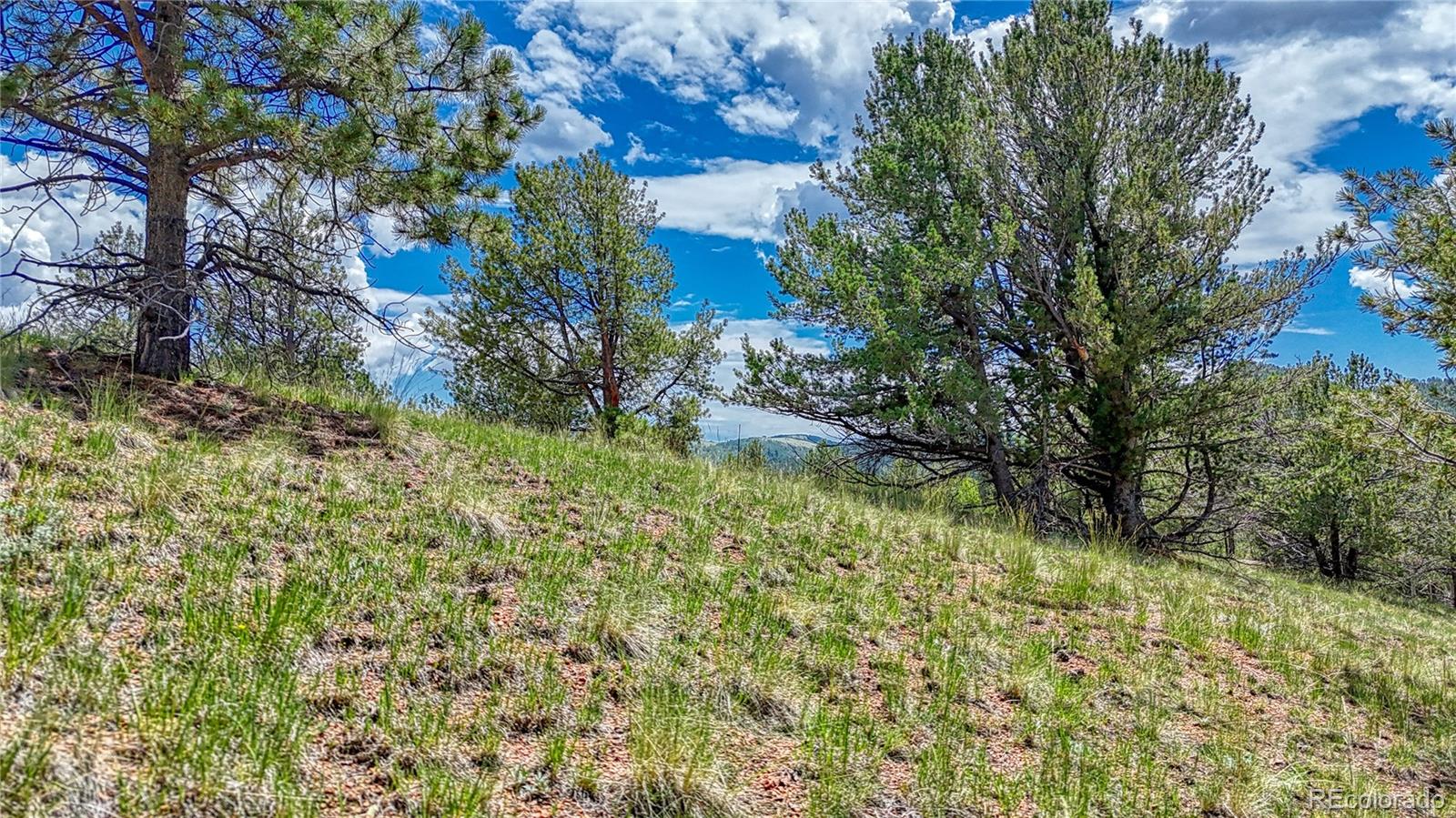 24 Wild Horse Circle Cripple Creek CO 80813