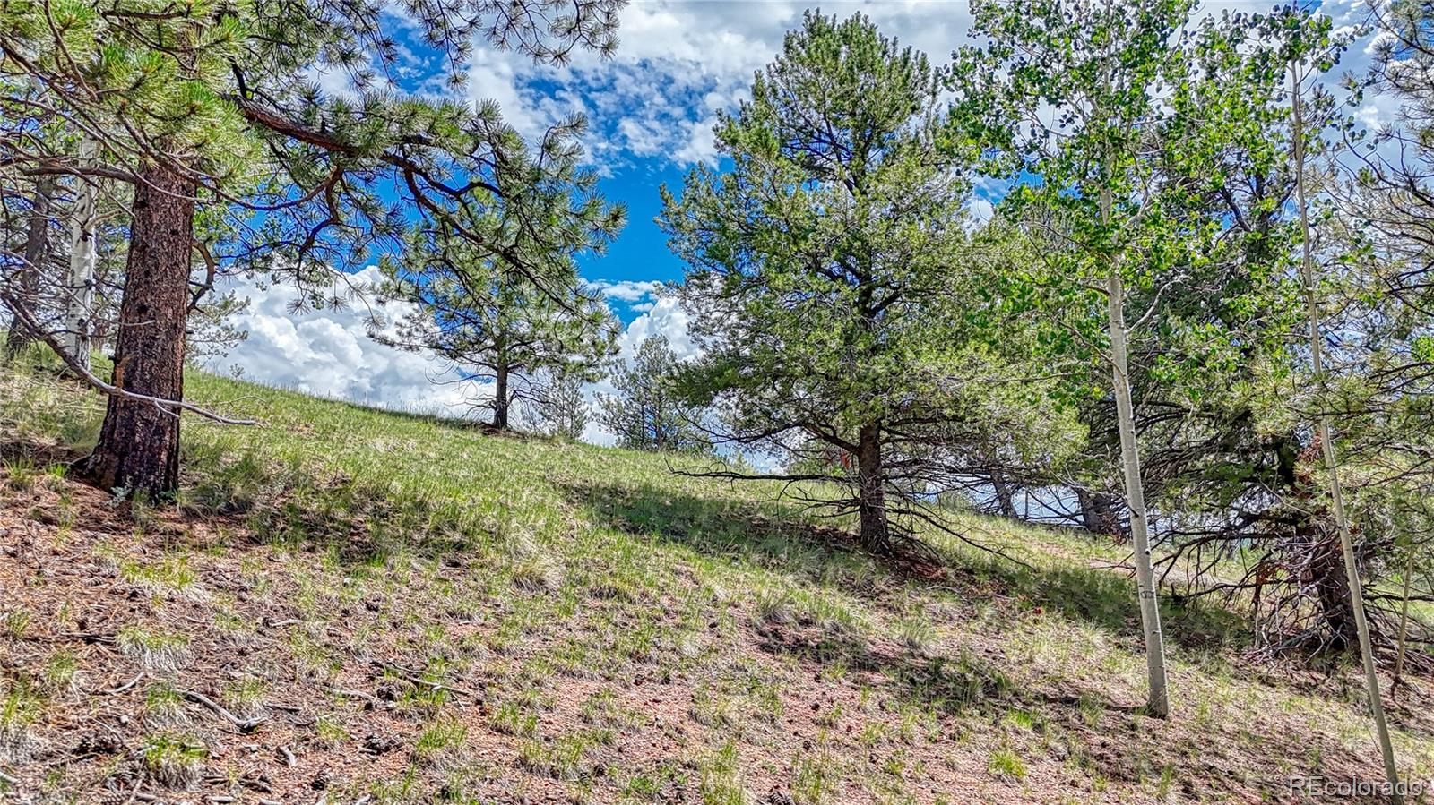 24 Wild Horse Circle Cripple Creek CO 80813