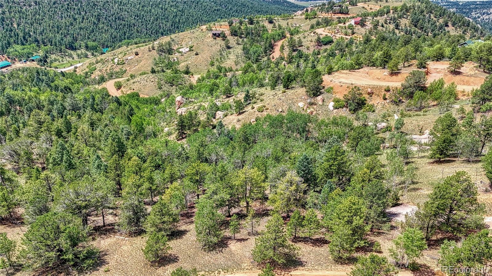 24 Wild Horse Circle Cripple Creek CO 80813