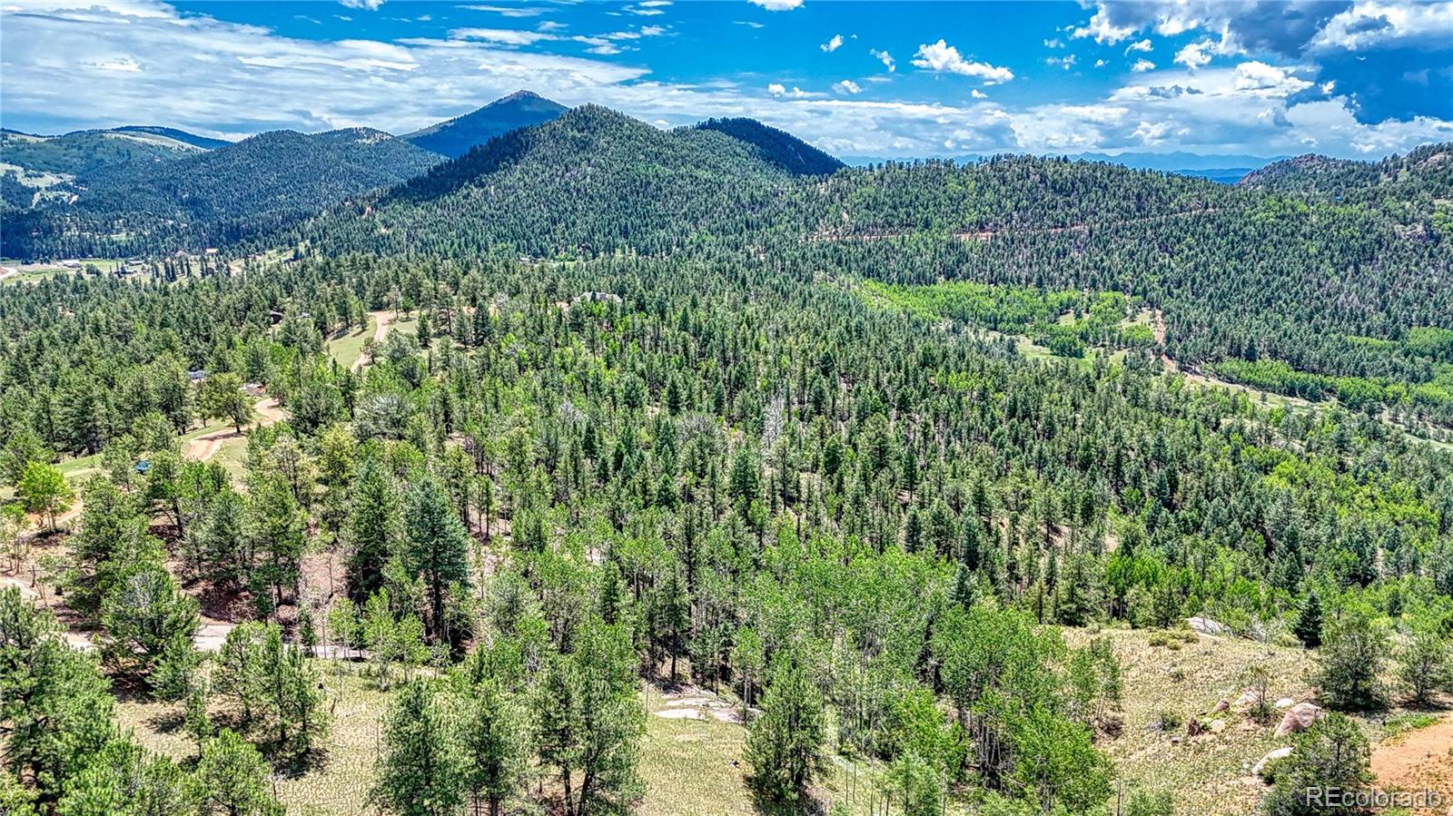 24 Wild Horse Circle Cripple Creek CO 80813