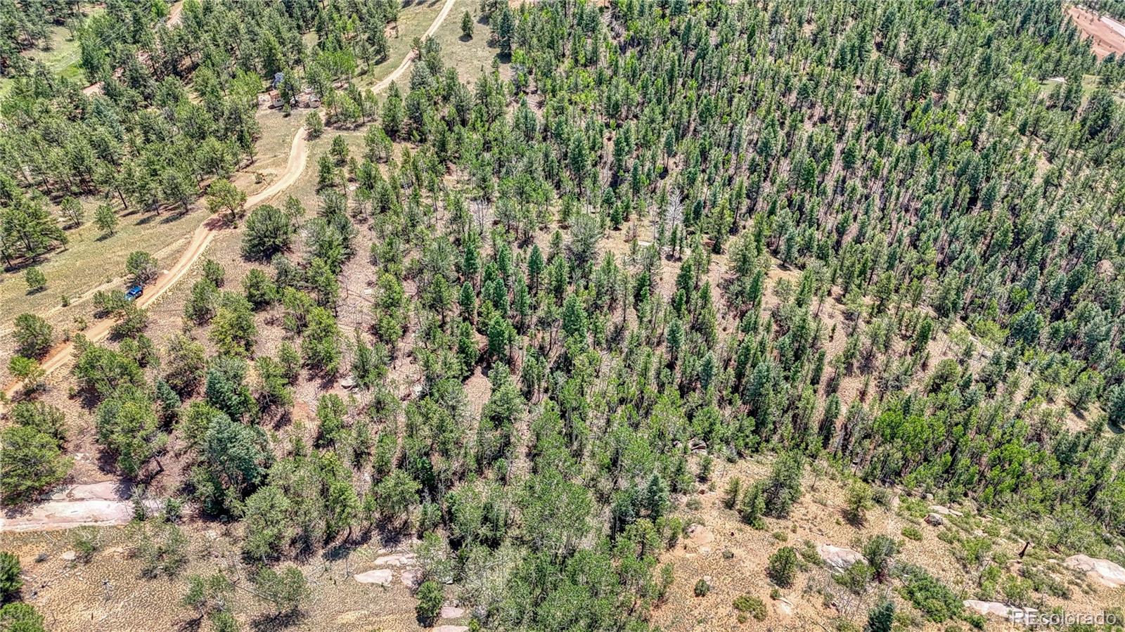 24 Wild Horse Circle Cripple Creek CO 80813