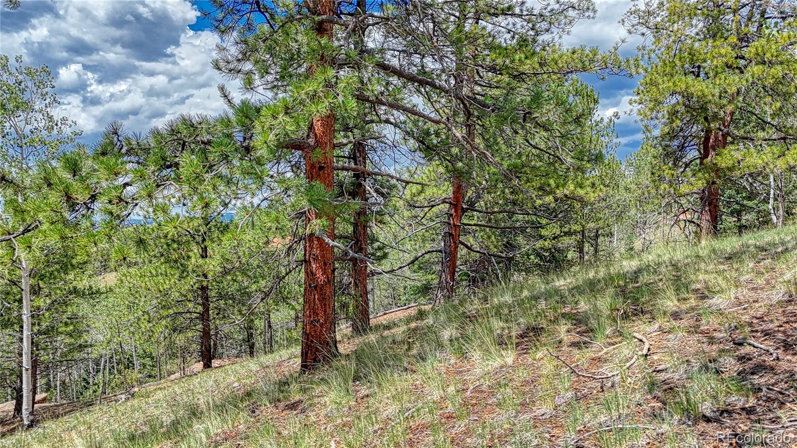 24 Wild Horse Circle Cripple Creek CO 80813