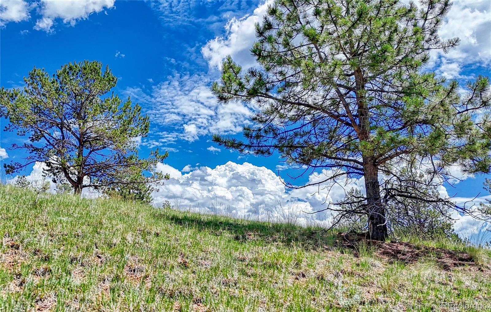 24 Wild Horse Circle Cripple Creek CO 80813